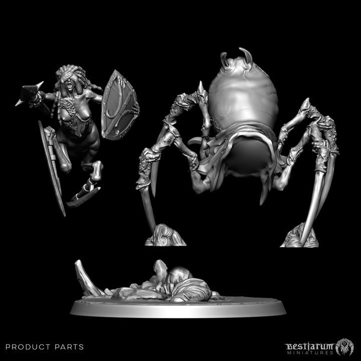 Dark Elf Arachnaeborne | The Remade