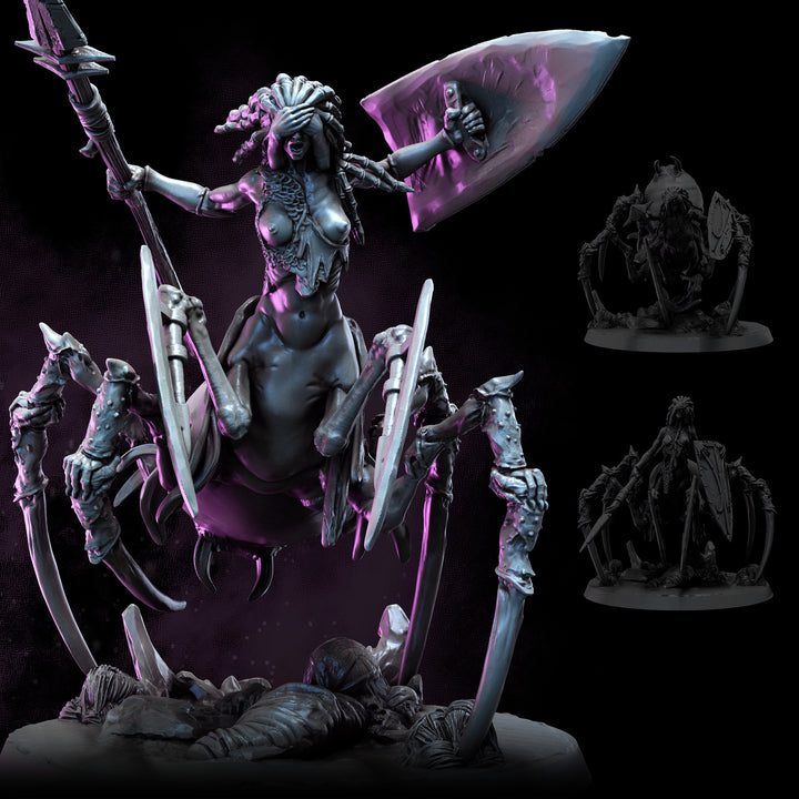 Dark Elf Arachnaeborne | The Remade