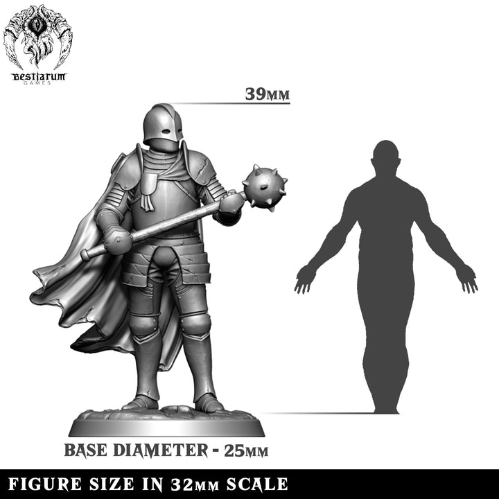 Medieval Knight Warband Set | House Lionheart