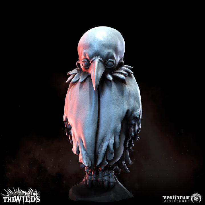 Twisted Harpy Flock Set | Wilds