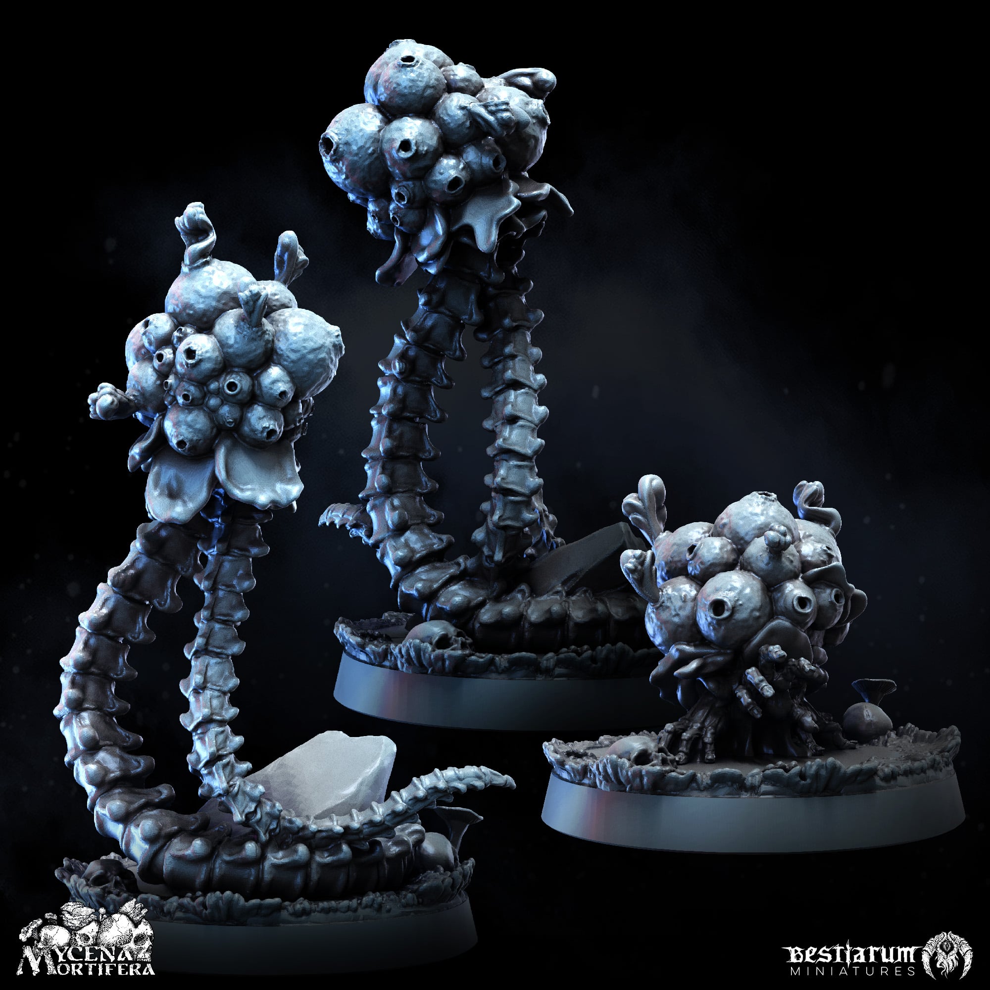 Mortifera Flesh Spores | Mycena Mortifera