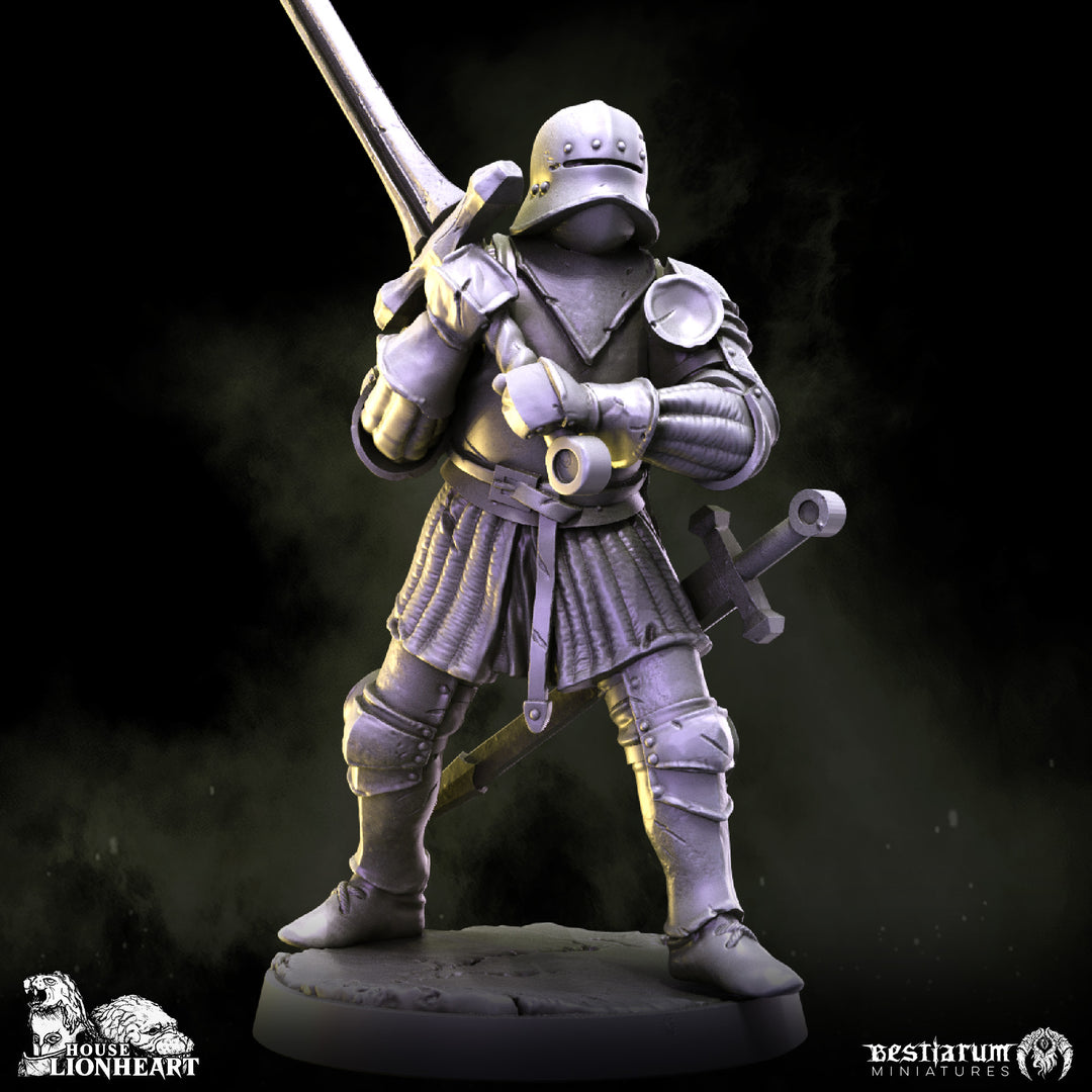 Medieval Knight Warband Set | House Lionheart