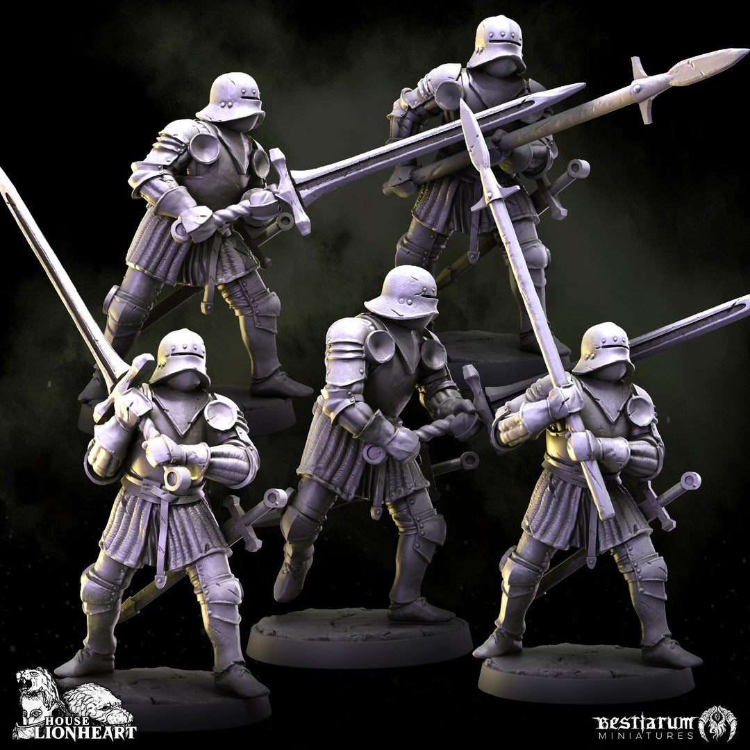 Medieval Knight Warband Set | House Lionheart