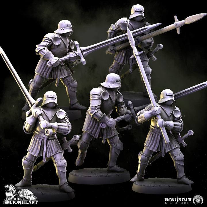 Medieval Knight Warband Set | House Lionheart