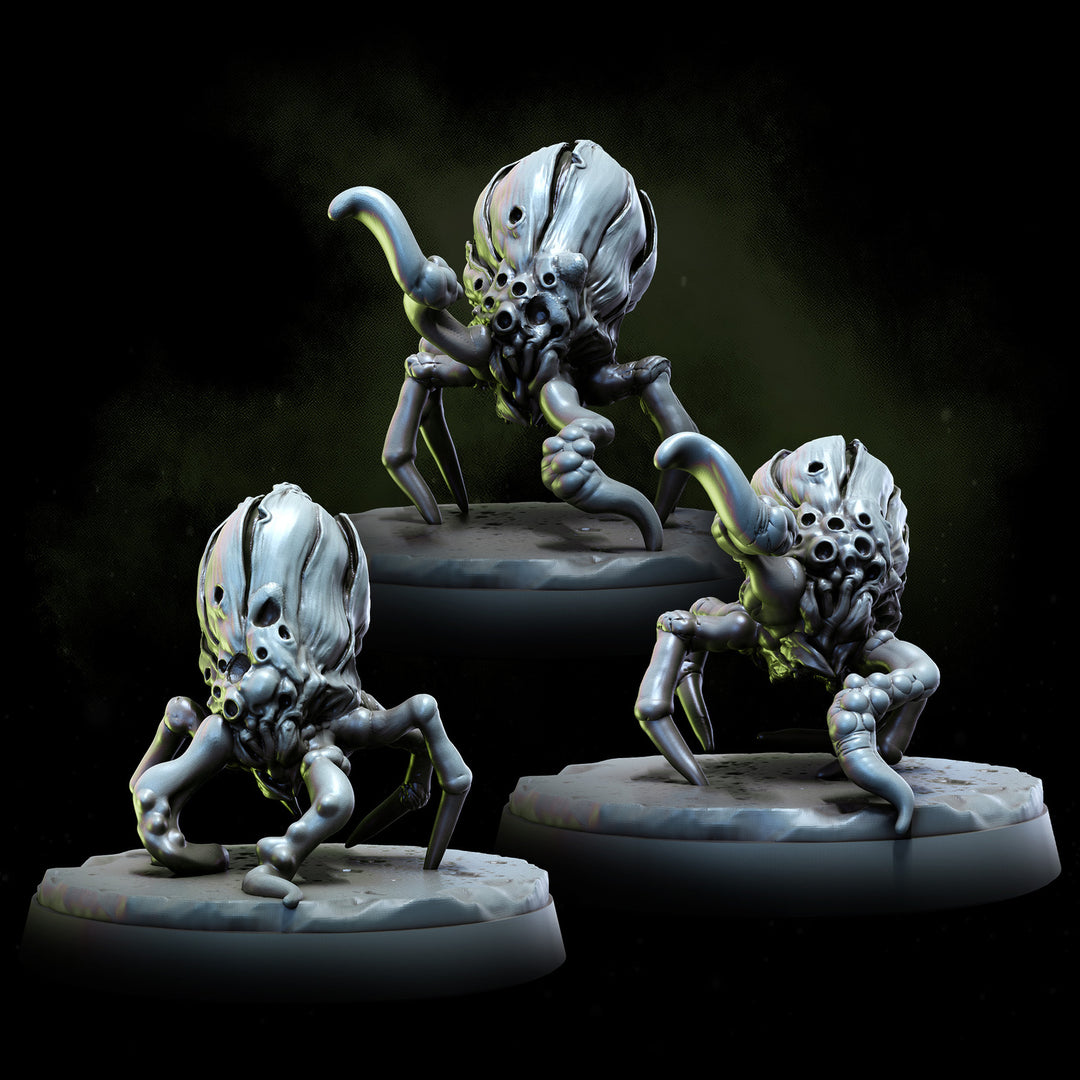 Acarid Parasites | Church of the Acarid