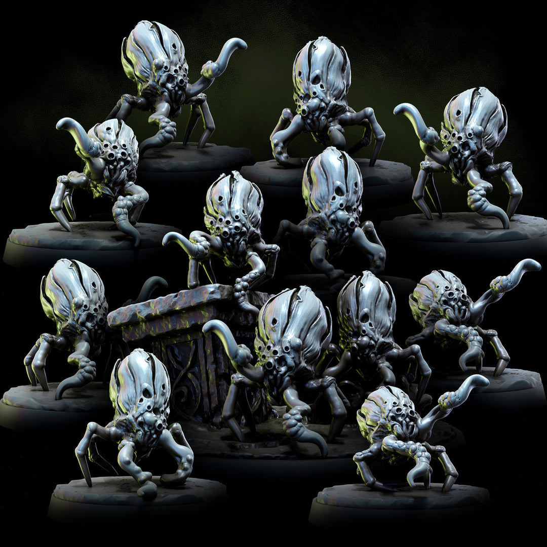 Acarid Parasite Infestation | STL Collection