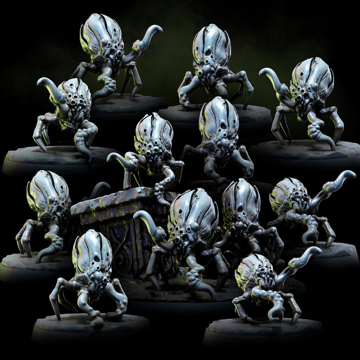 Acarid Parasite Infestation | STL Collection