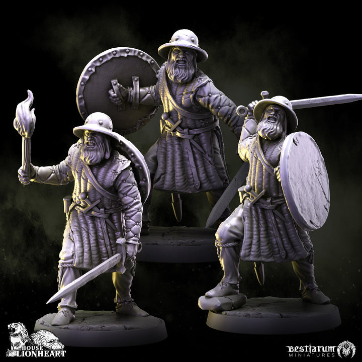 Medieval Knight Warband Set | House Lionheart