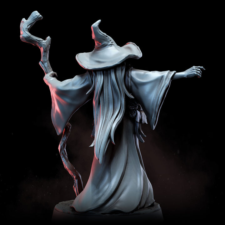 Wizard Alfarion with Voidborne Familiar | STL | Lone Heroes