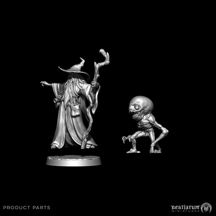 Wizard Alfarion with Voidborne Familiar | STL | Lone Heroes