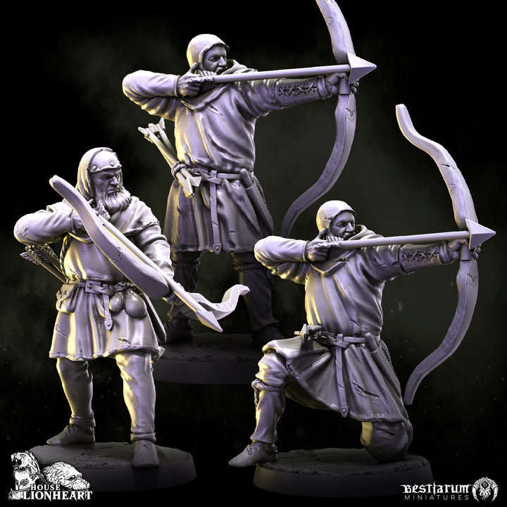 Medieval Knight Warband Set | House Lionheart