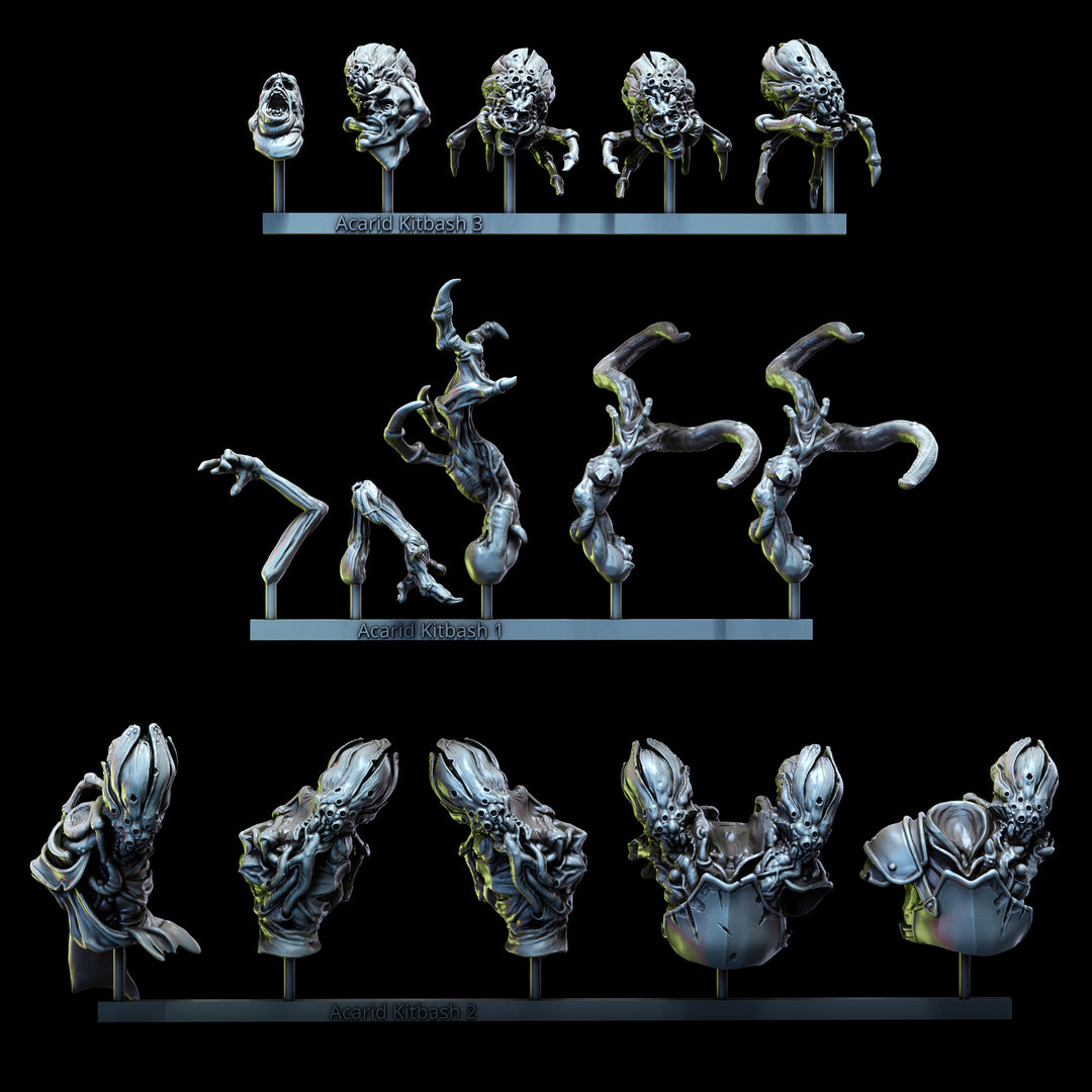 Acarid Kitbash Set | Church of the Acarid