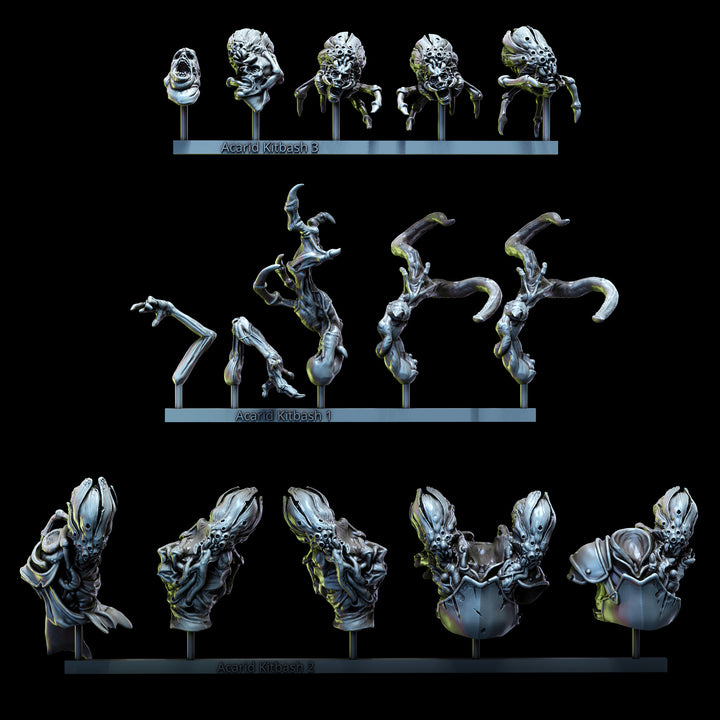 Acarid Kitbash Set | Church of the Acarid