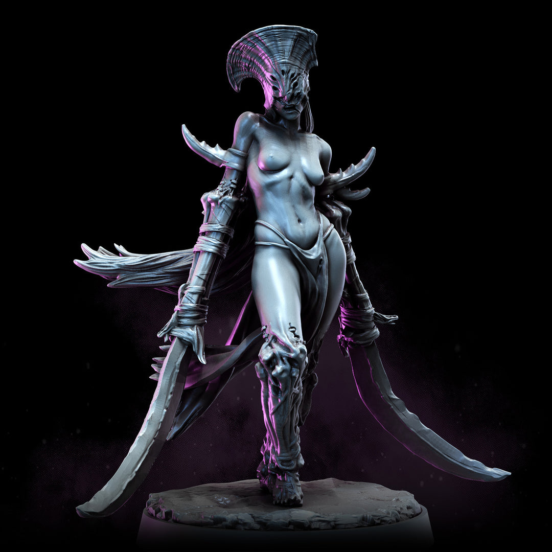 Dark Elves | The Remade