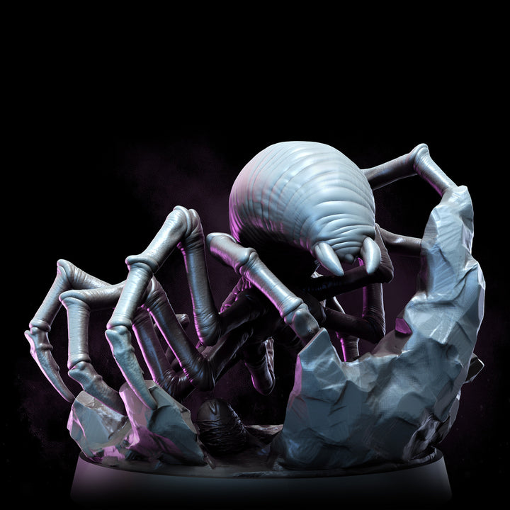 Cave Spiders | The Remade
