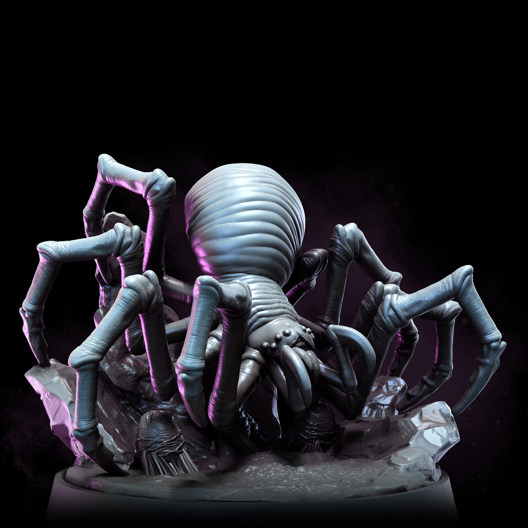 Cave Spiders | The Remade