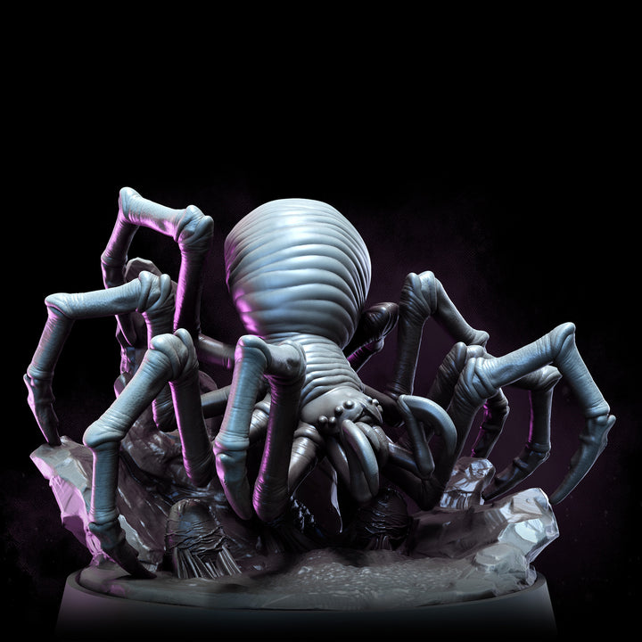 Cave Spiders | The Remade