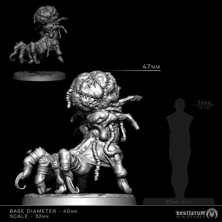 The Grasp | The Anatomists