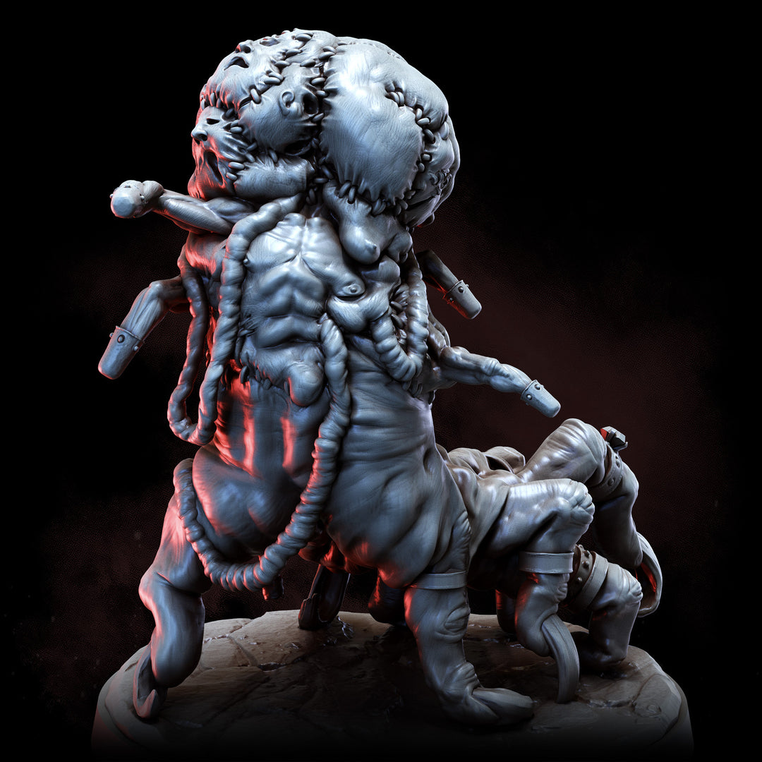 The Grasp | The Anatomists