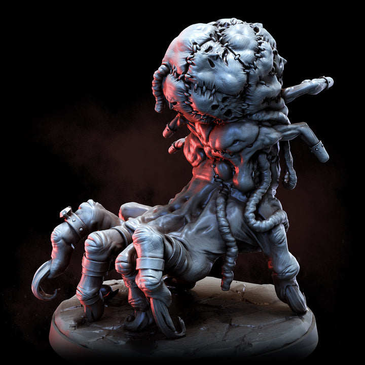 The Grasp | The Anatomists