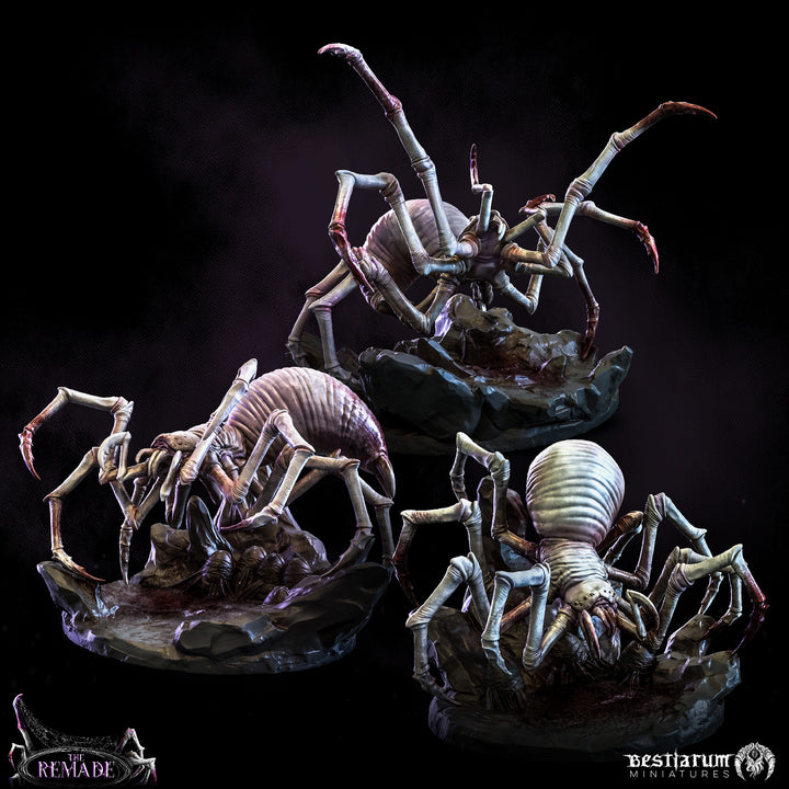 Cave Spiders | The Remade | Bestiarum | Miniatures D&amp;D Wargaming DnD