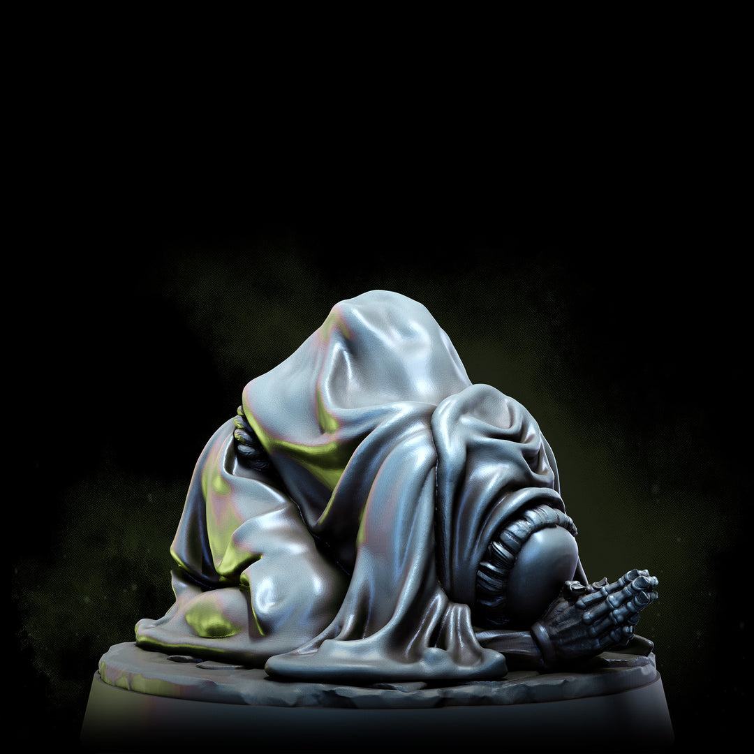 Infested Monks | Church of the Acarid