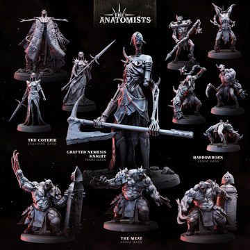 The Anatomists | STL Collection