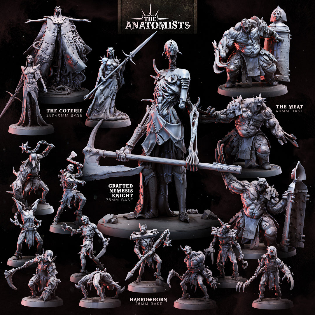 The Anatomists | STL Collection