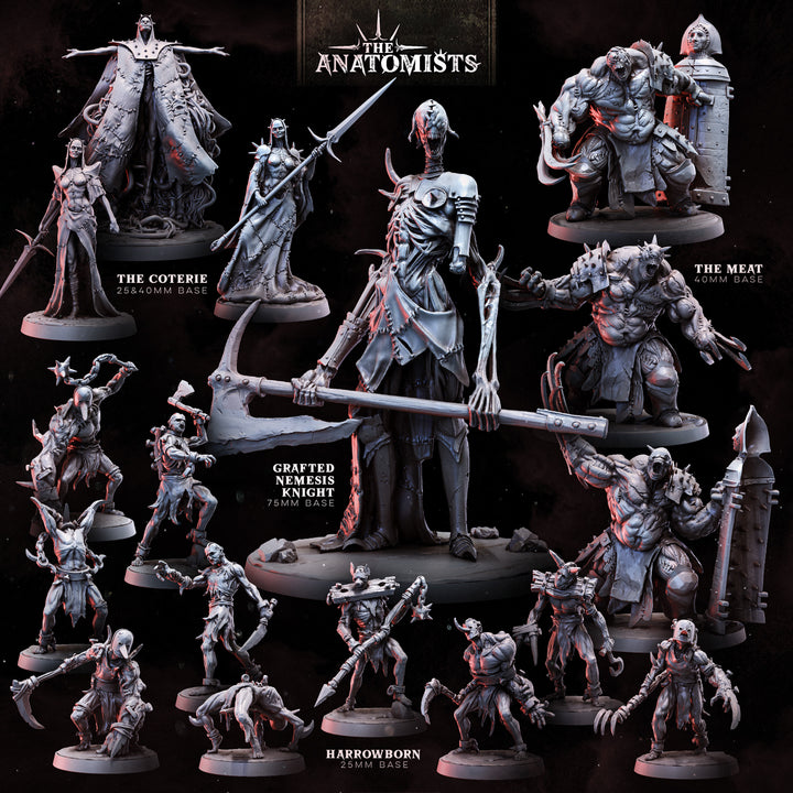 The Anatomists | STL Collection