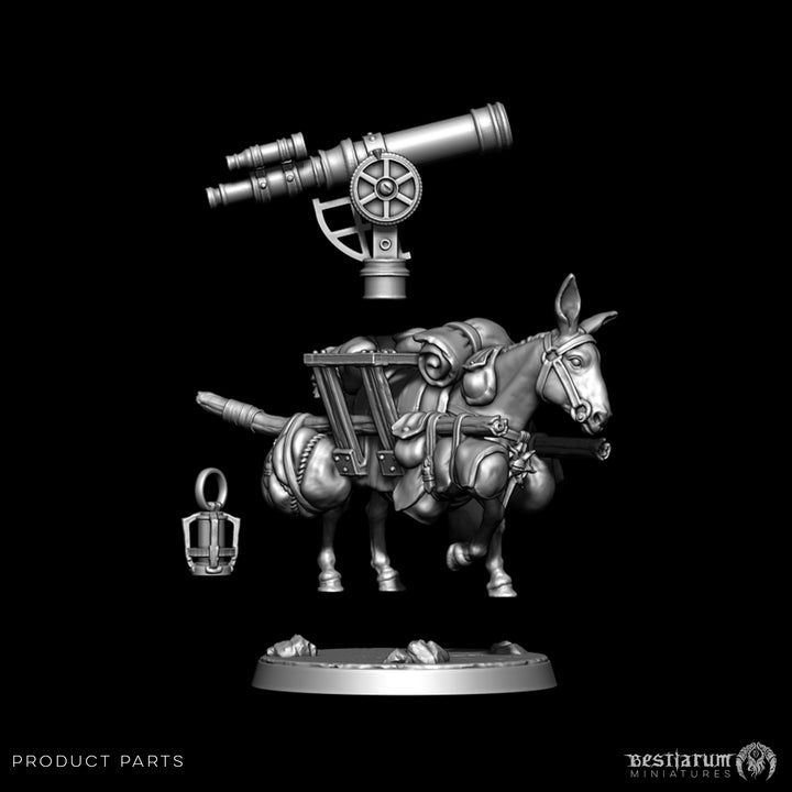 Expedition Cartographer with Donkey | Penitent Crusade