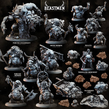 Swine Raid | STL Collection