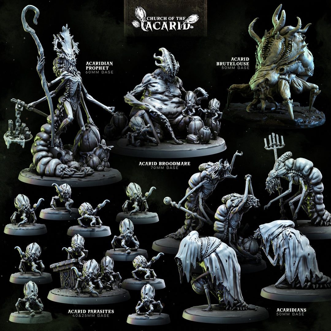 Acarid Parasite Infestation | STL Collection