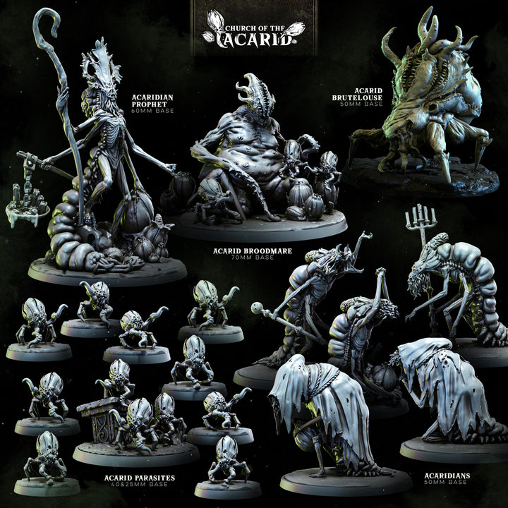 Acarid Parasite Infestation | STL Collection