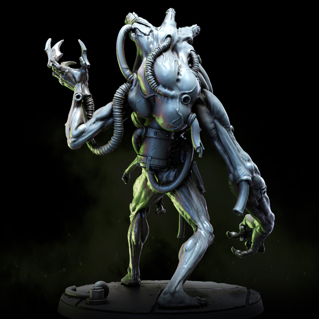 Fleshfang, the Howling Construct &amp; Construct on Slab | Spires of Allstein