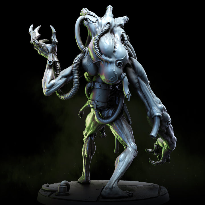 Fleshfang, the Howling Construct &amp; Construct on Slab | Spires of Allstein