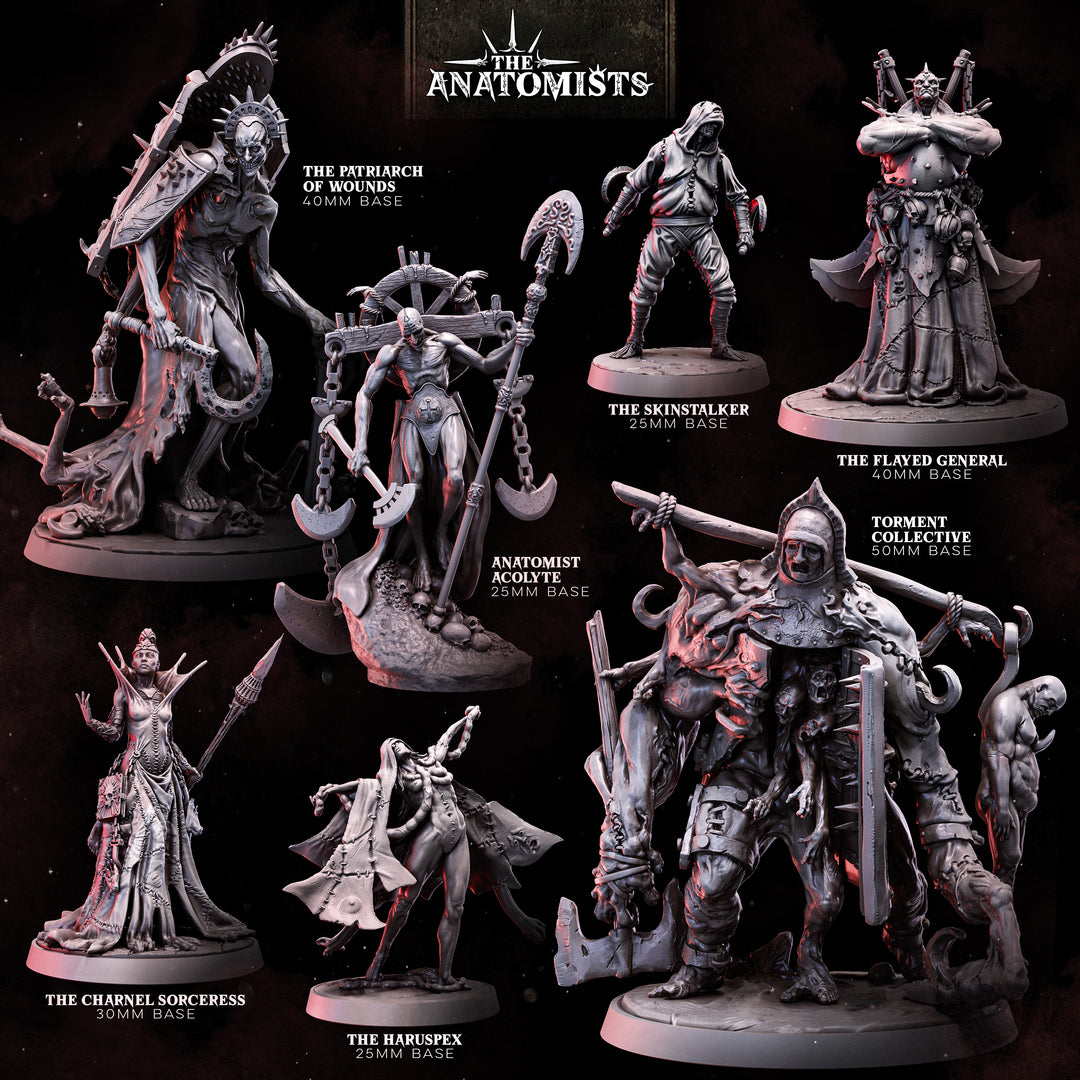 The Anatomists: Heroes | STL Collection