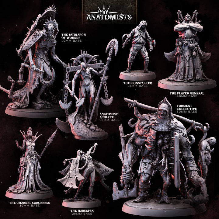 The Anatomists: Heroes | STL Collection