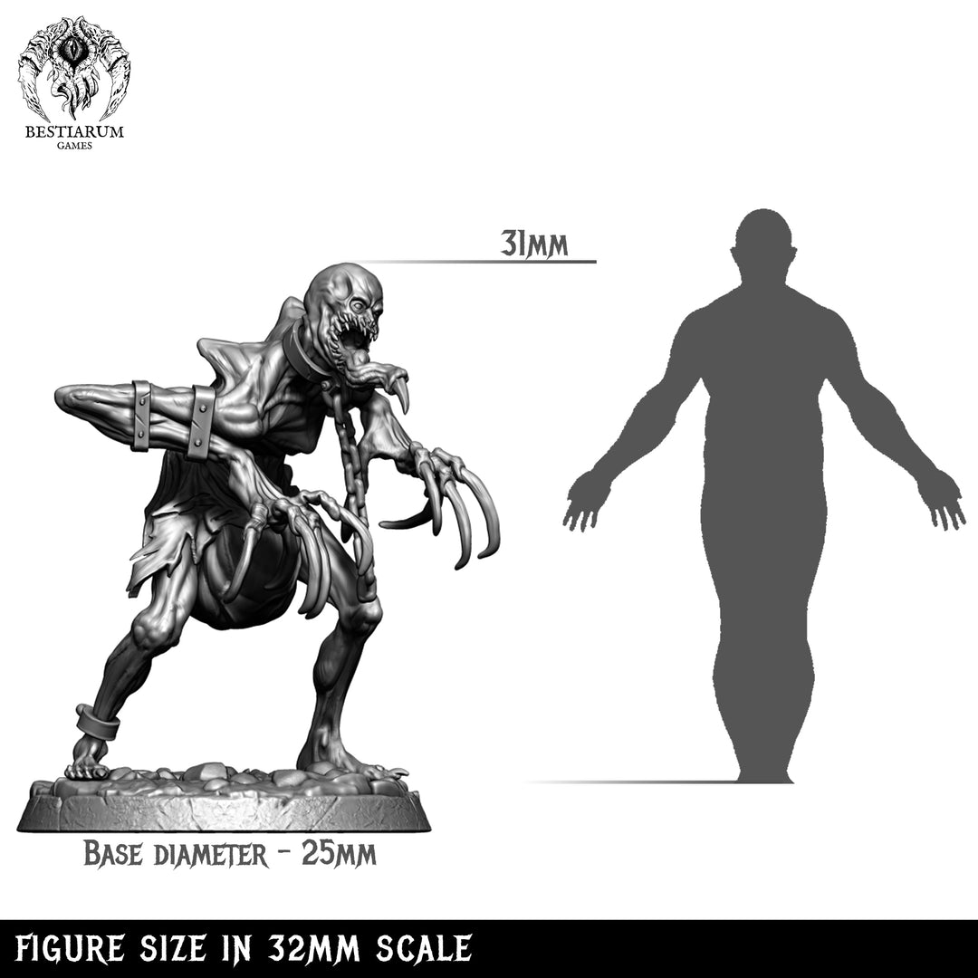 Vampire Abominations Warband | Bestiarum | Wargaming DnD Miniatures