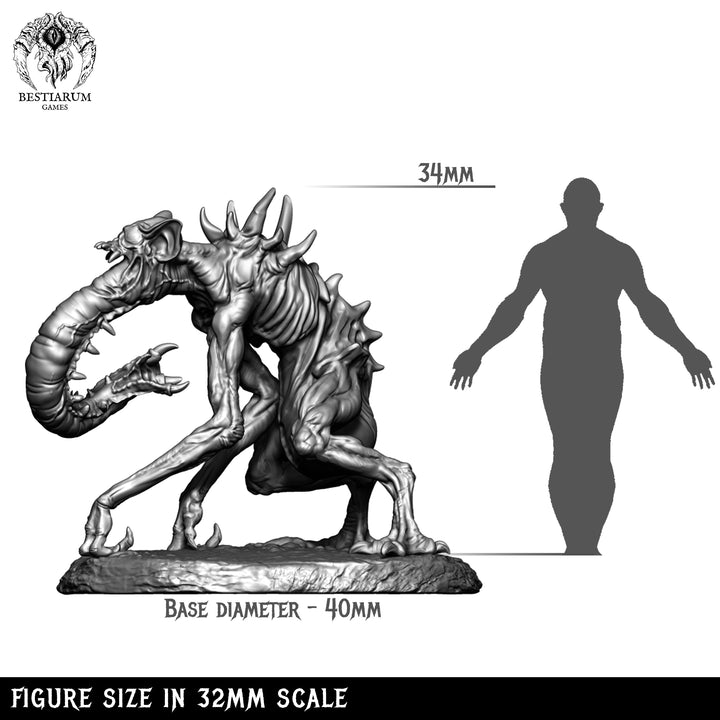 Vampire Abominations Warband | Bestiarum | Wargaming DnD Miniatures