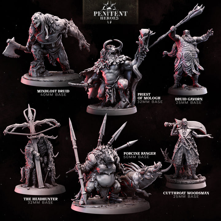 Druid Warband | STL Collection
