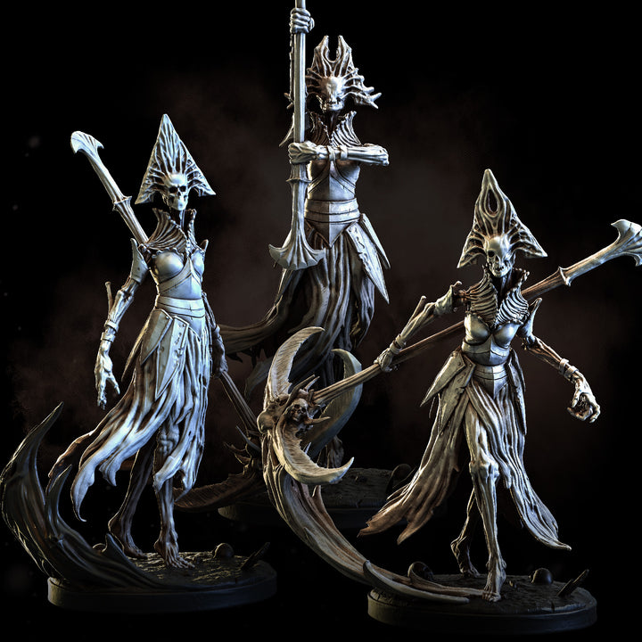 Ossified Bonecrafters | STL Collection