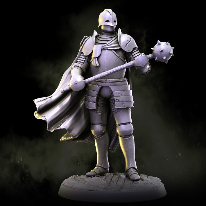 Guard Captain | House Lionheart
