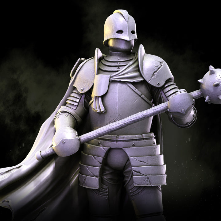 Guard Captain | House Lionheart