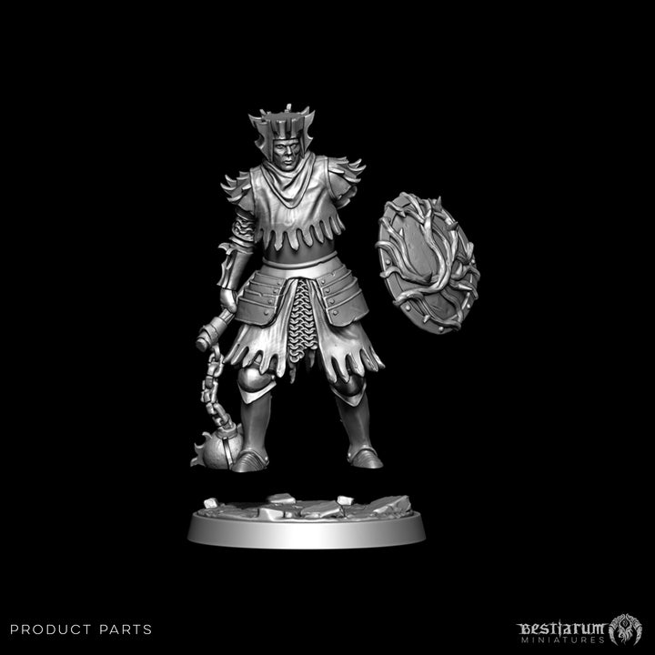 The Knight of Thorns | STL | Lone Hero