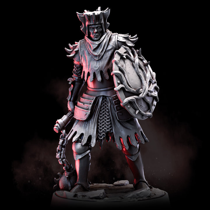 The Knight of Thorns | Lone Hero
