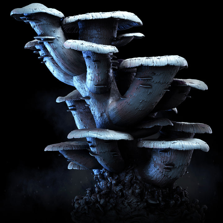 Corpse Mushroom Clusters | Mycena Mortifera