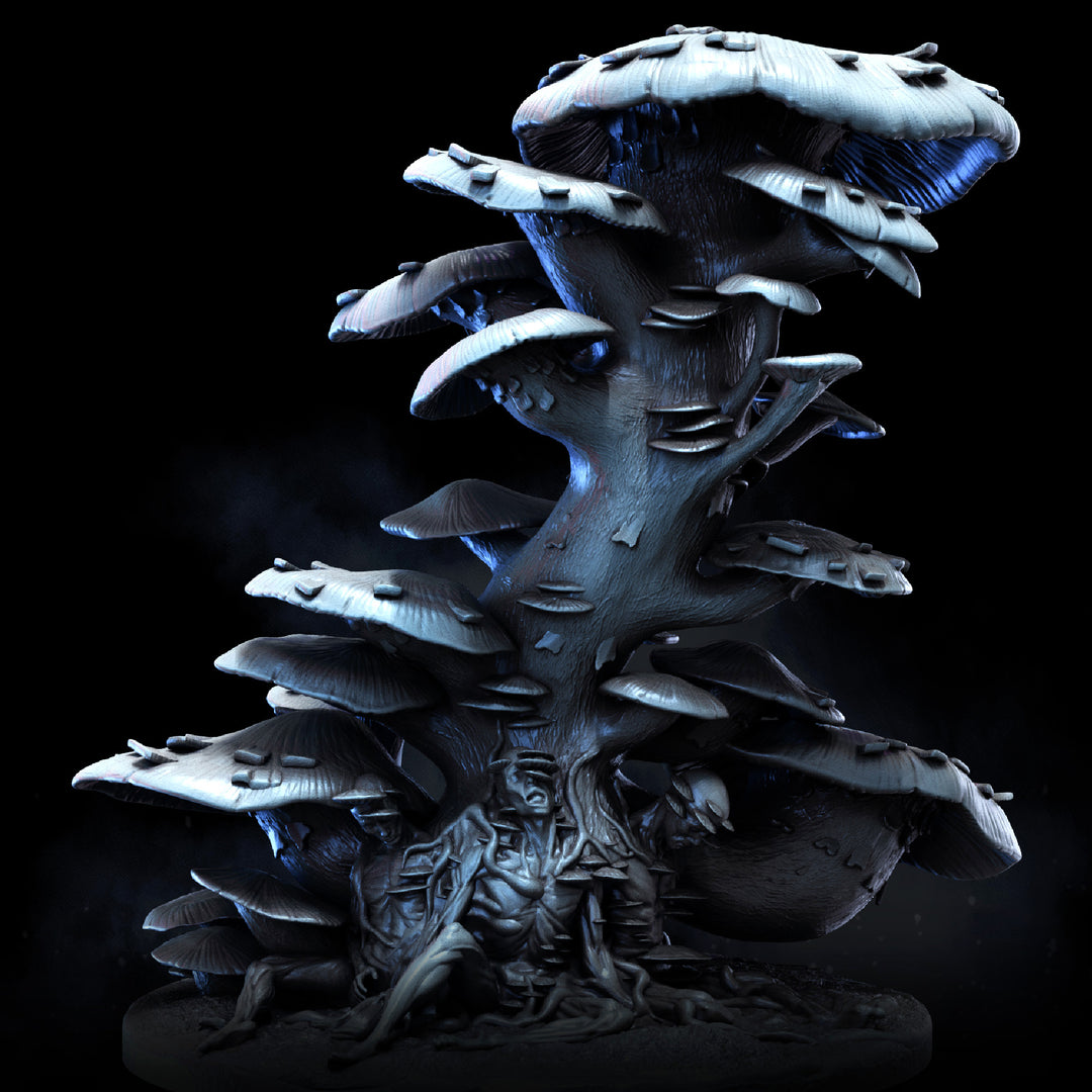Corpse Mushroom Clusters | Mycena Mortifera