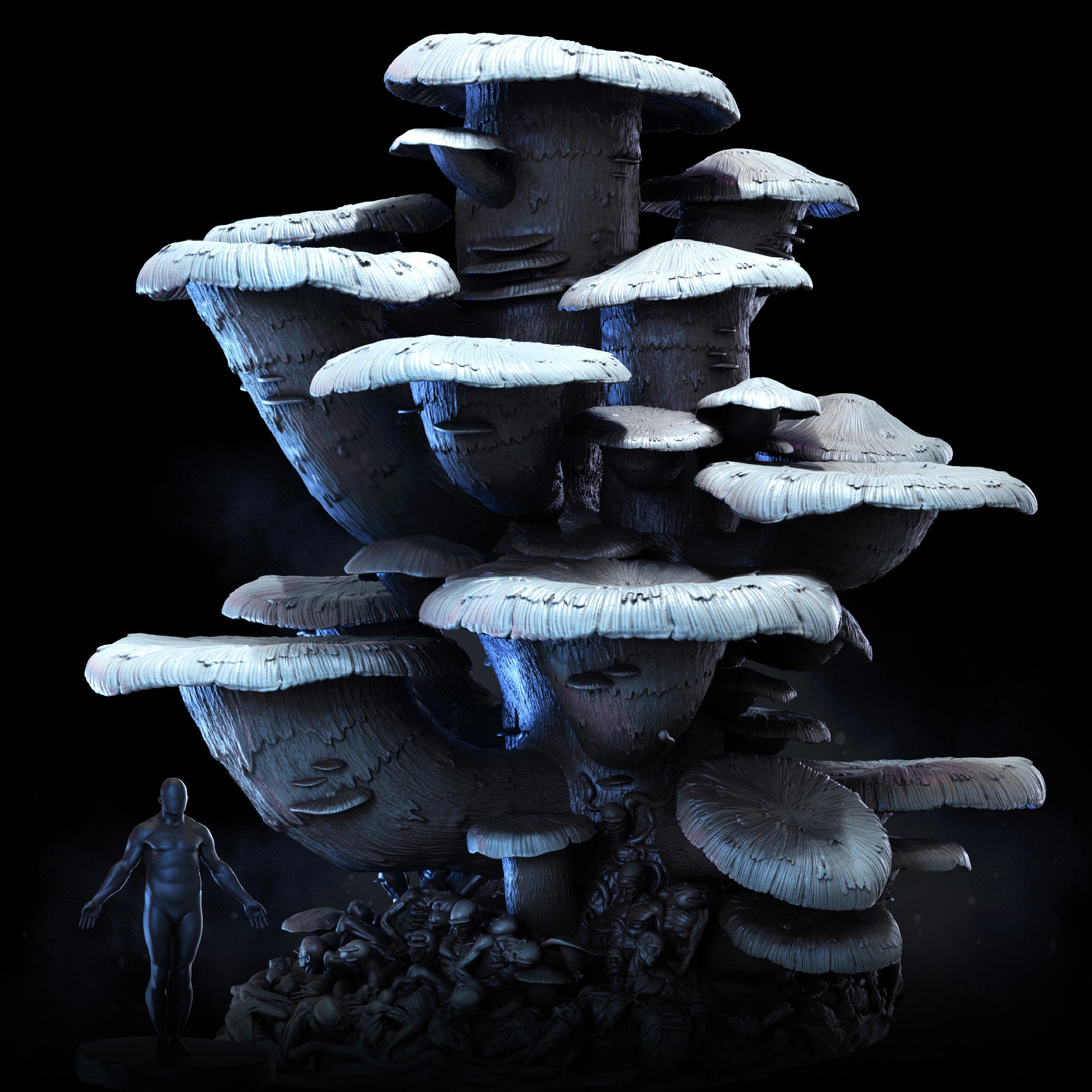 Corpse Mushroom Clusters | Mycena Mortifera