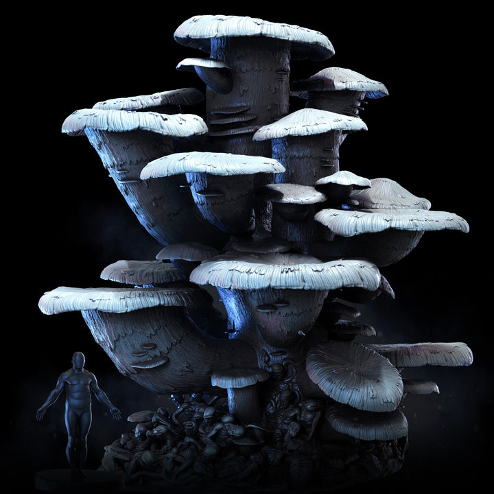 Corpse Mushroom Clusters | Mycena Mortifera