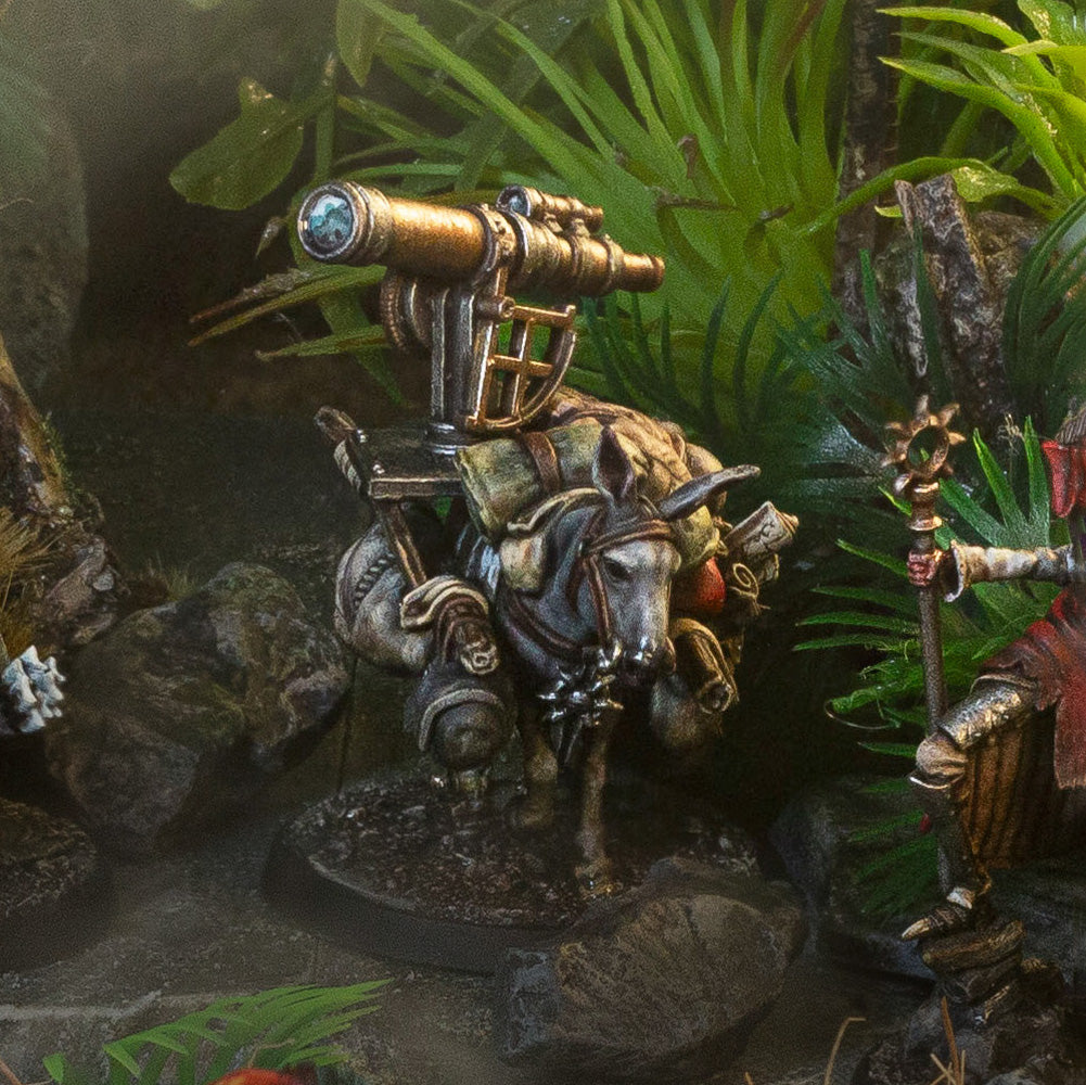 Expedition Cartographer with Donkey | Penitent Crusade